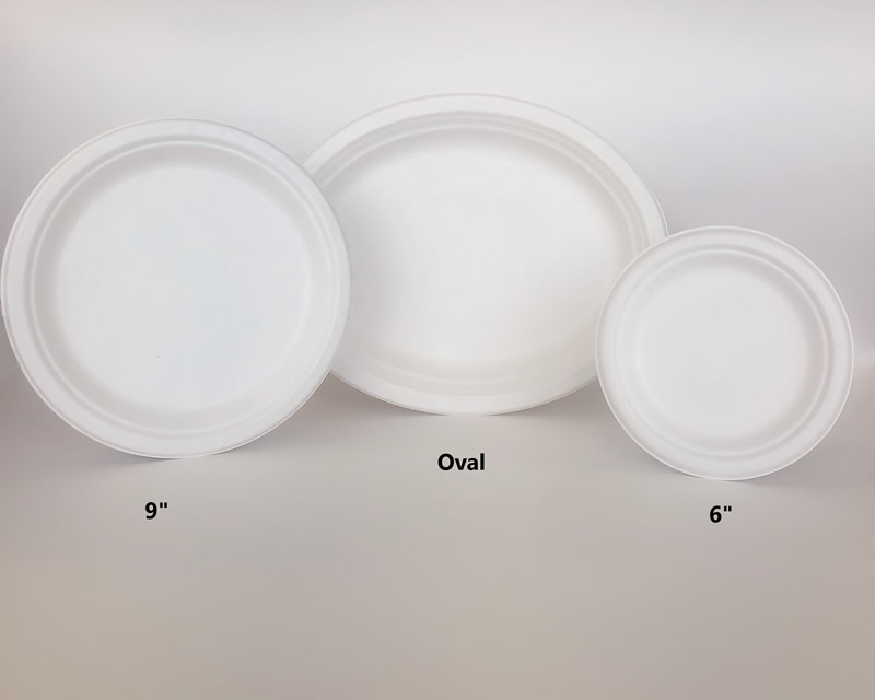 All Plates- Labeled.jpg
